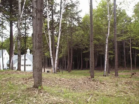 Woodland after flammable understory was removed
