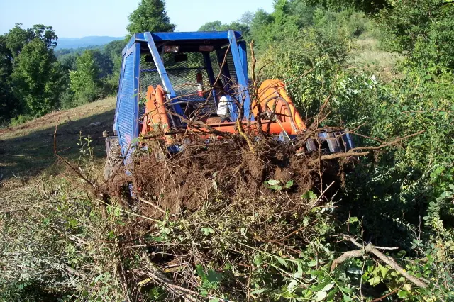 Forest Savers' compact forestry machine uprooting invasive brush