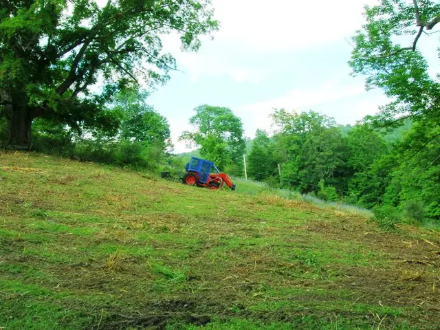 Hillside pasture after Forest Savers restoration