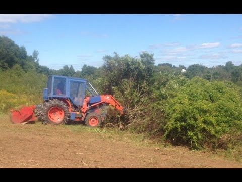 Forest Savers machinery working in invasive vegetation