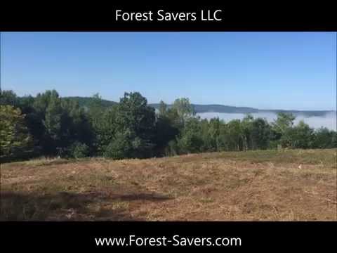Cleared hilltop view at Prospect Hill
